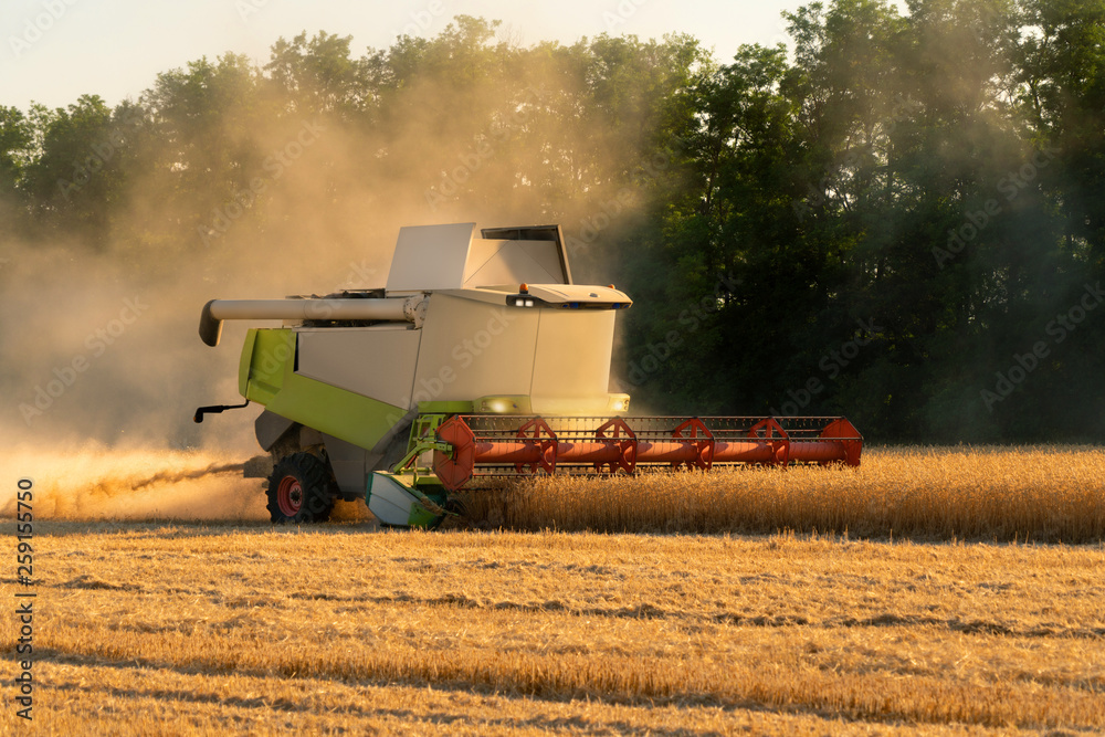 Autonomous harvester utilizing machine vision technology enabled guidance system